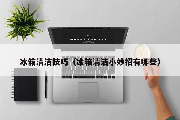 冰箱清洁技巧(冰箱清洁小妙招有哪些)