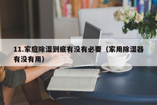 11.家庭除湿到底有没有必要(家用除湿器有没有用)