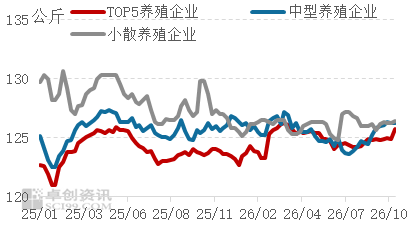 10月供应压力仍存，11月猪价受限